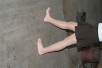 Thumnail / 1 / 12 / 07